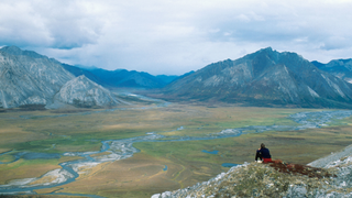State Attorneys General Join the Fight to Protect the Arctic National Wildlife Refuge